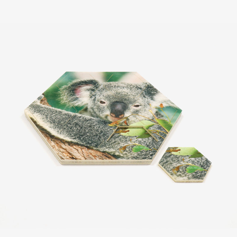 Eco-Felt Hexagon Coaster Set - Printed - Space 18 Australia