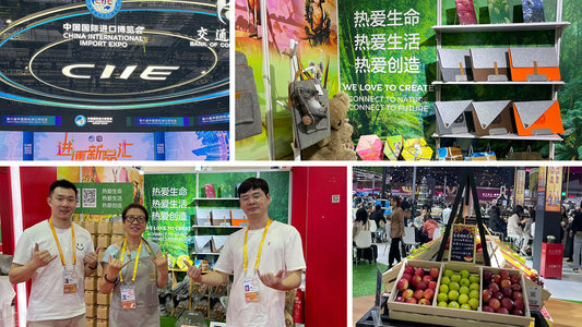 Great Success at the 6th CIIE!