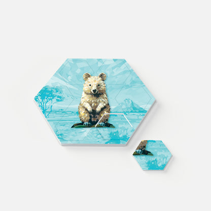 Eco-Felt Hexagon Coaster Set - Australian Animals Collection